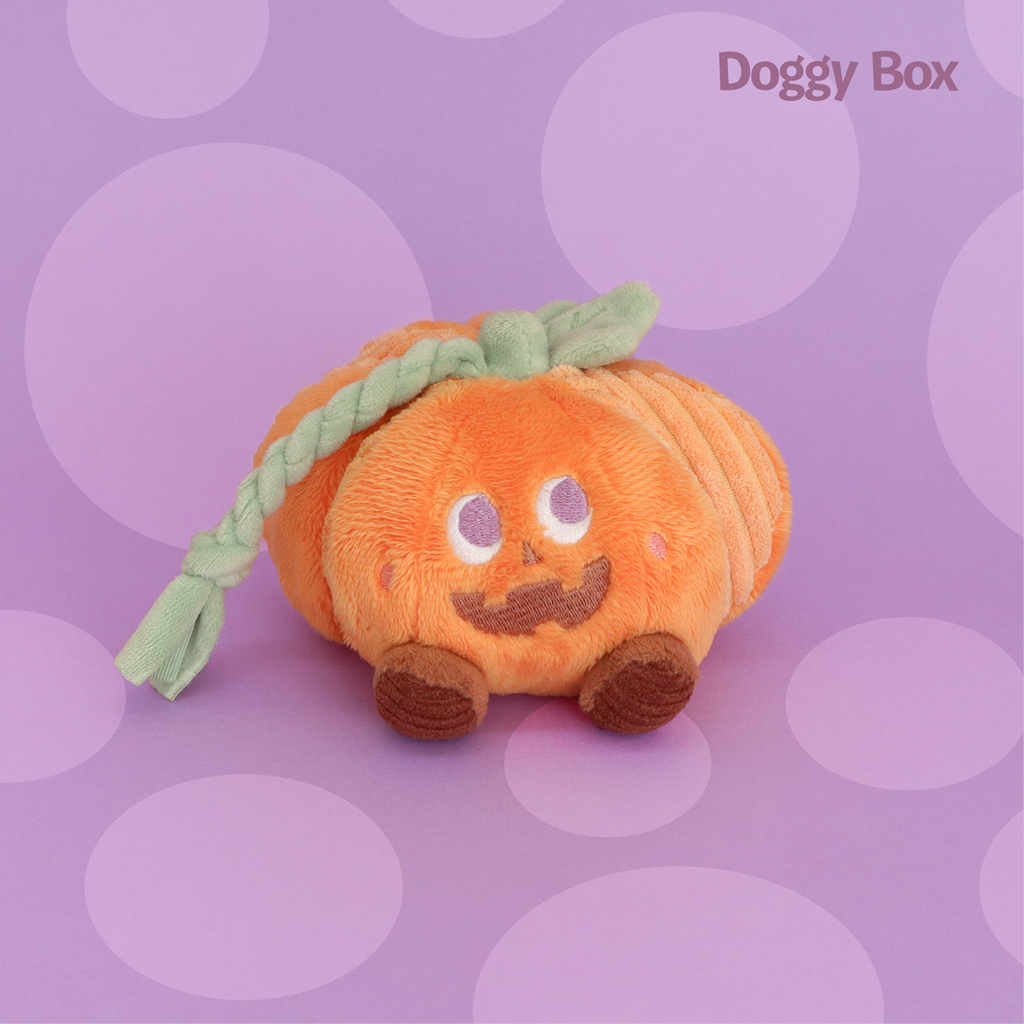 超小型犬用Box – Doggy Box