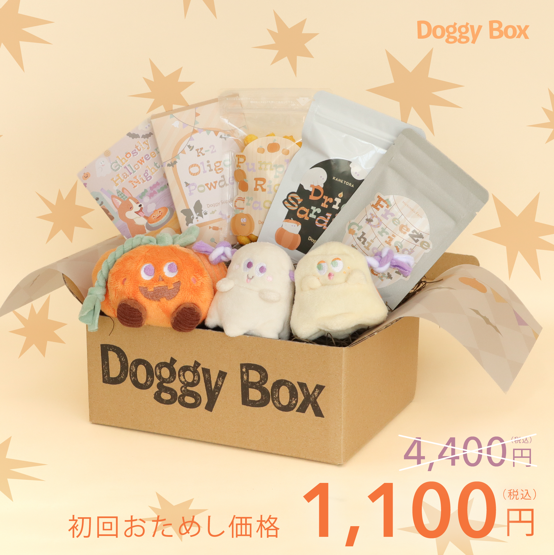 小型犬用Box – Doggy Box