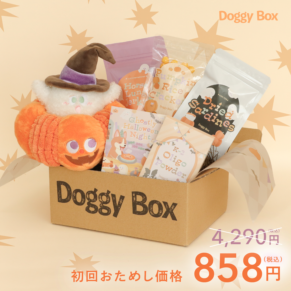 定期便】中型犬用Box (あと払い決済) – Doggy Box