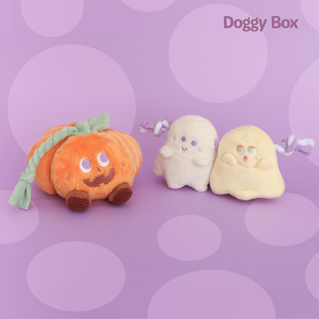 超小型犬用Box – Doggy Box