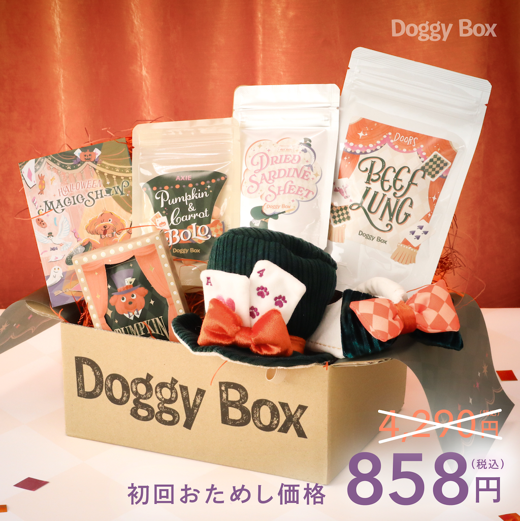 小型犬用Box