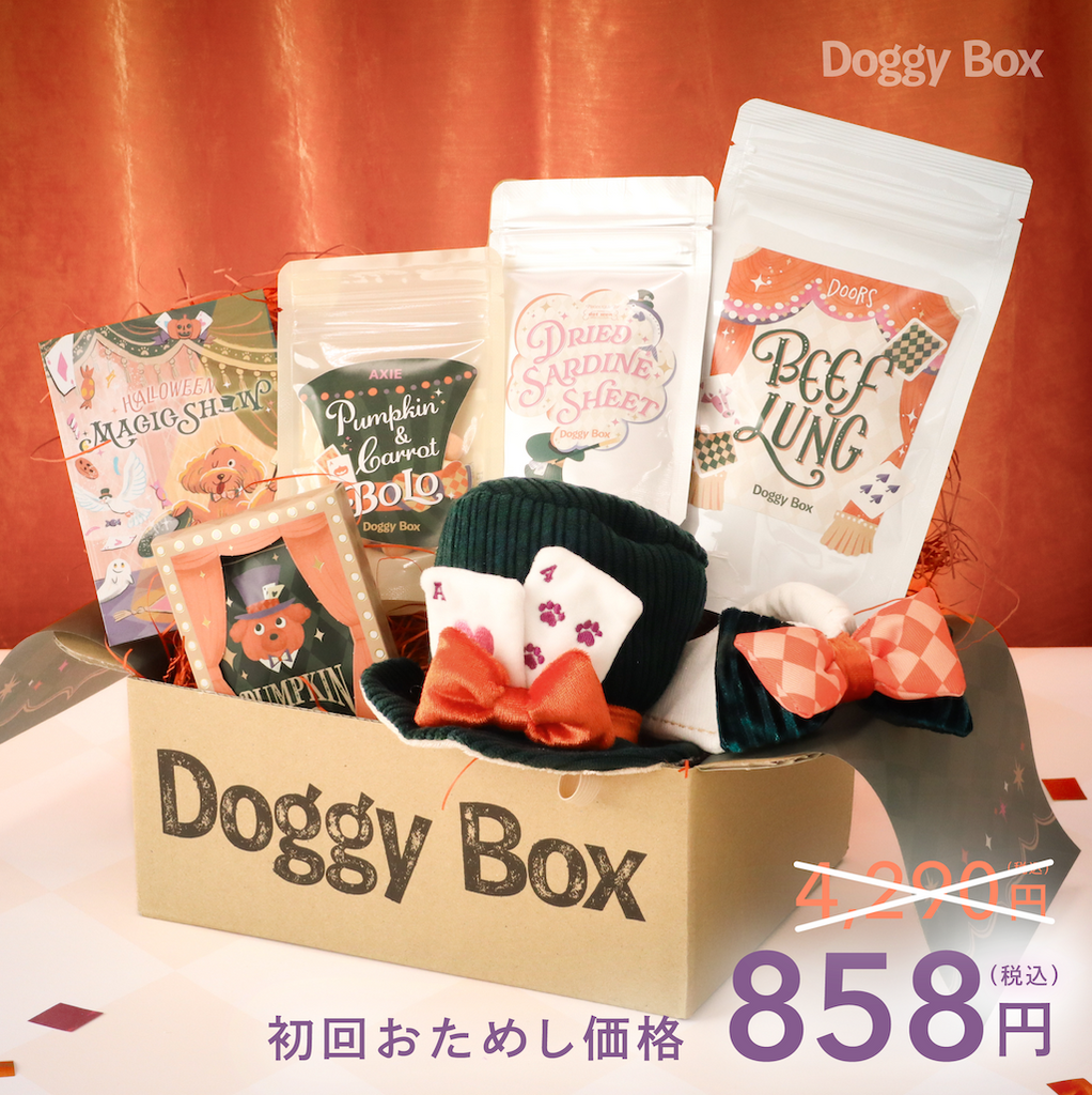 小型犬用Box – Doggy Box