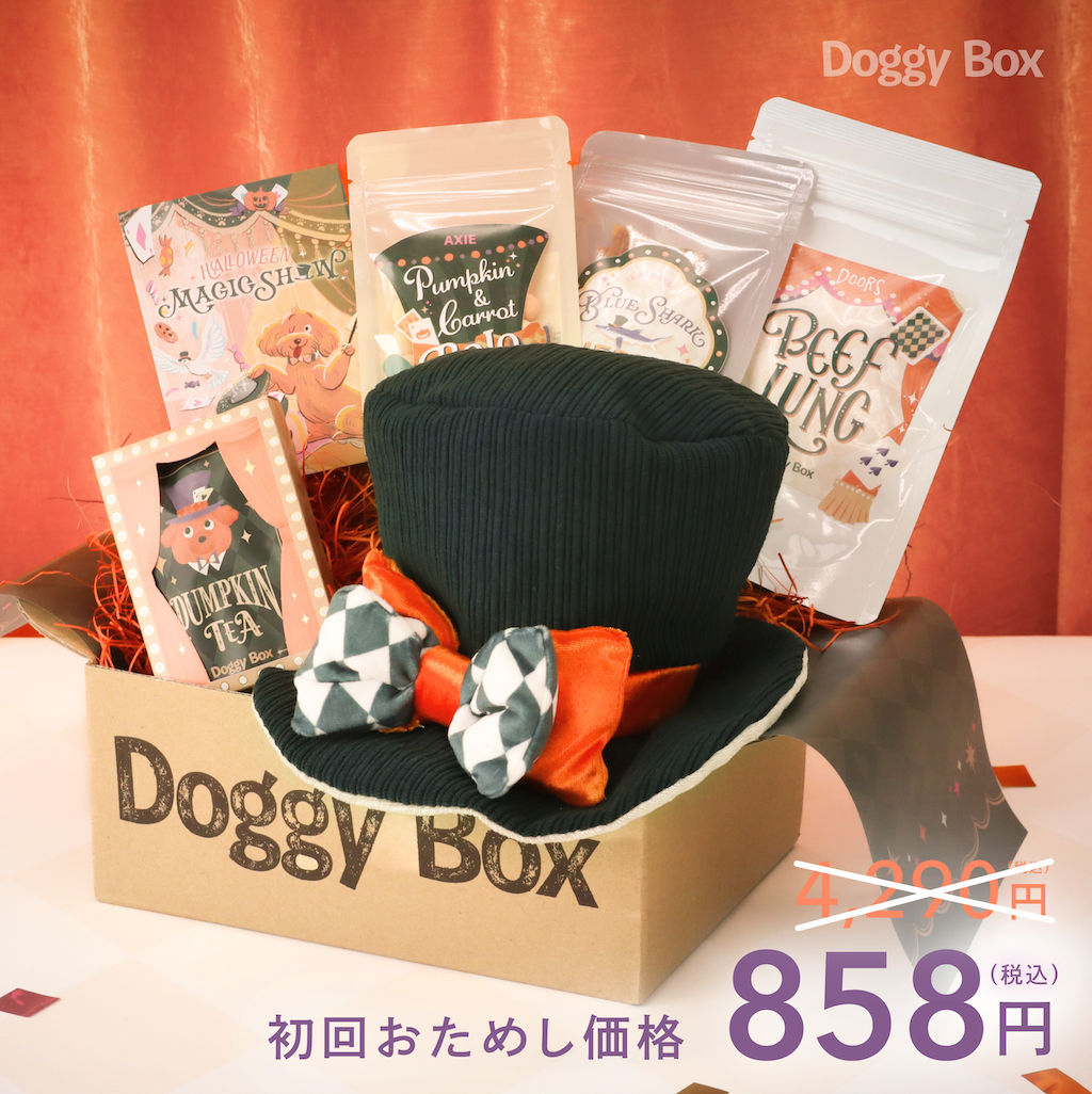 中型犬用Box