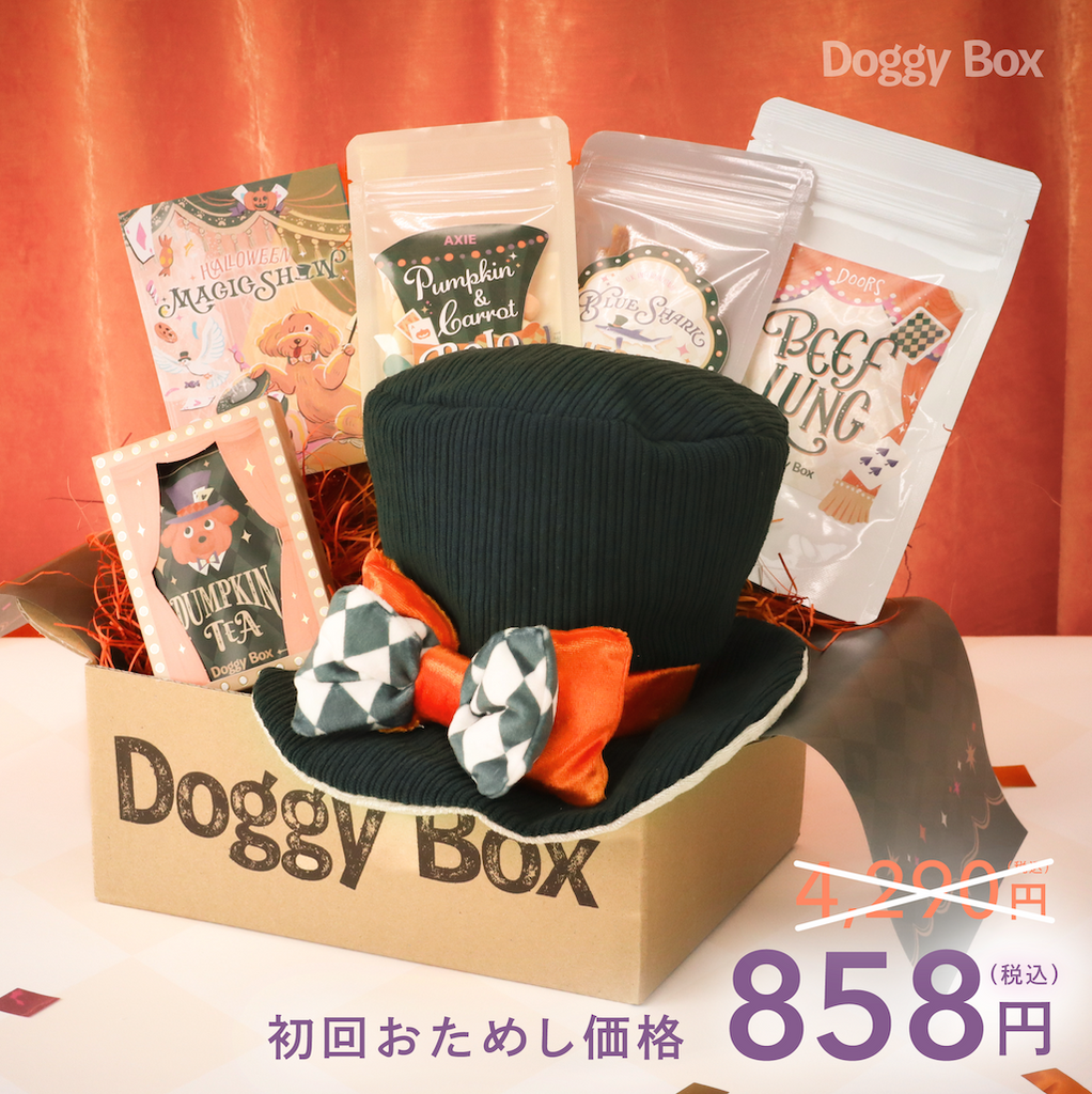 Doggy Box