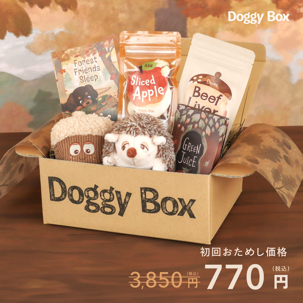 超小型犬用Box