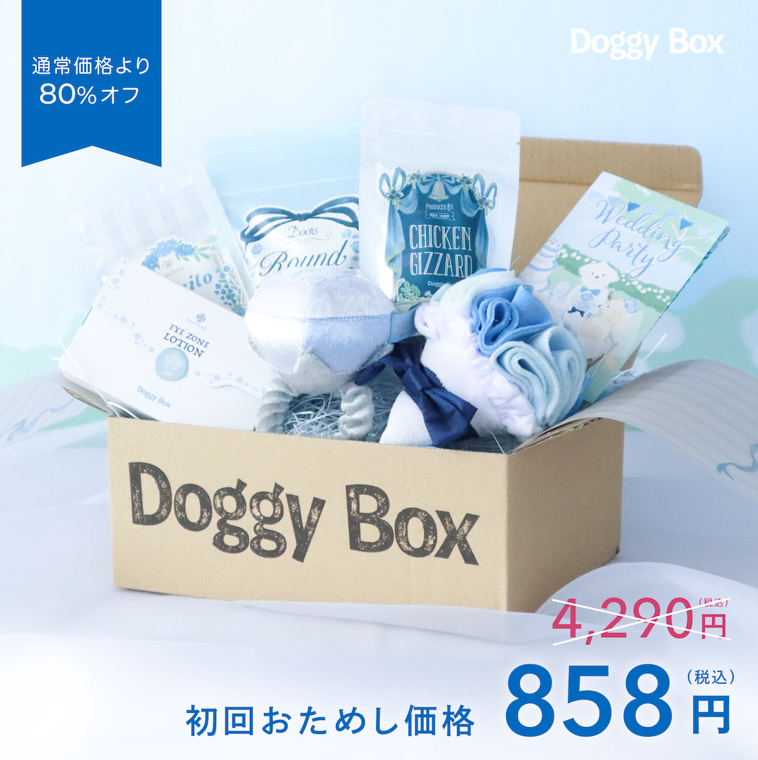 小型犬用Box – Doggy Box
