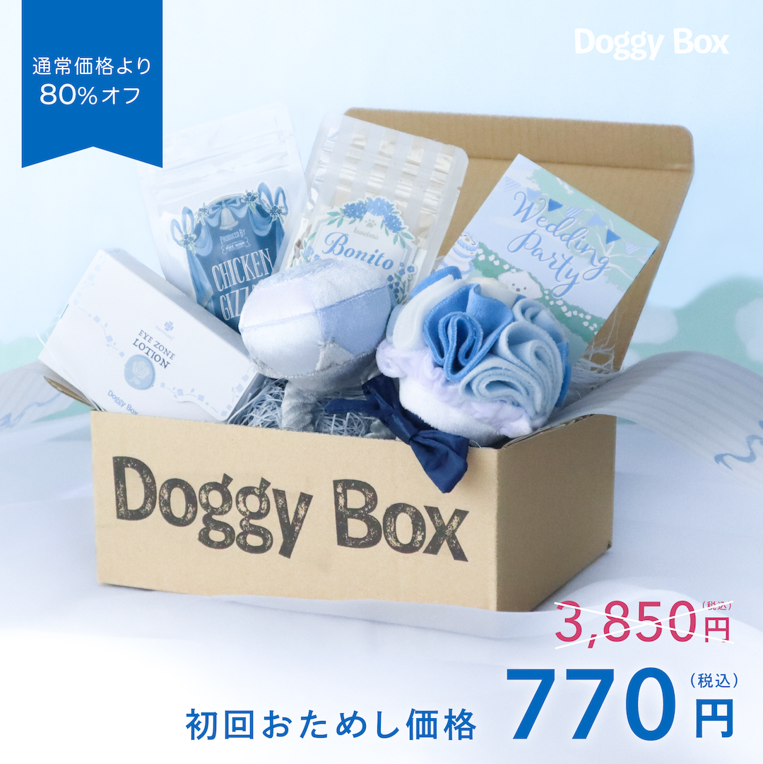 超小型犬用Box – Doggy Box