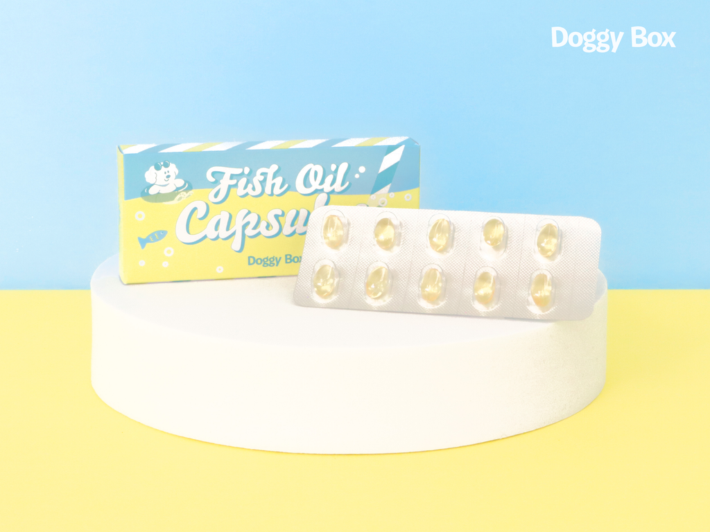 超小型犬用Box – Doggy Box