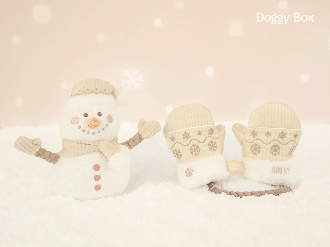 INNOCENCE DOG BOX リミテッドエディション イノセンス リミテッド