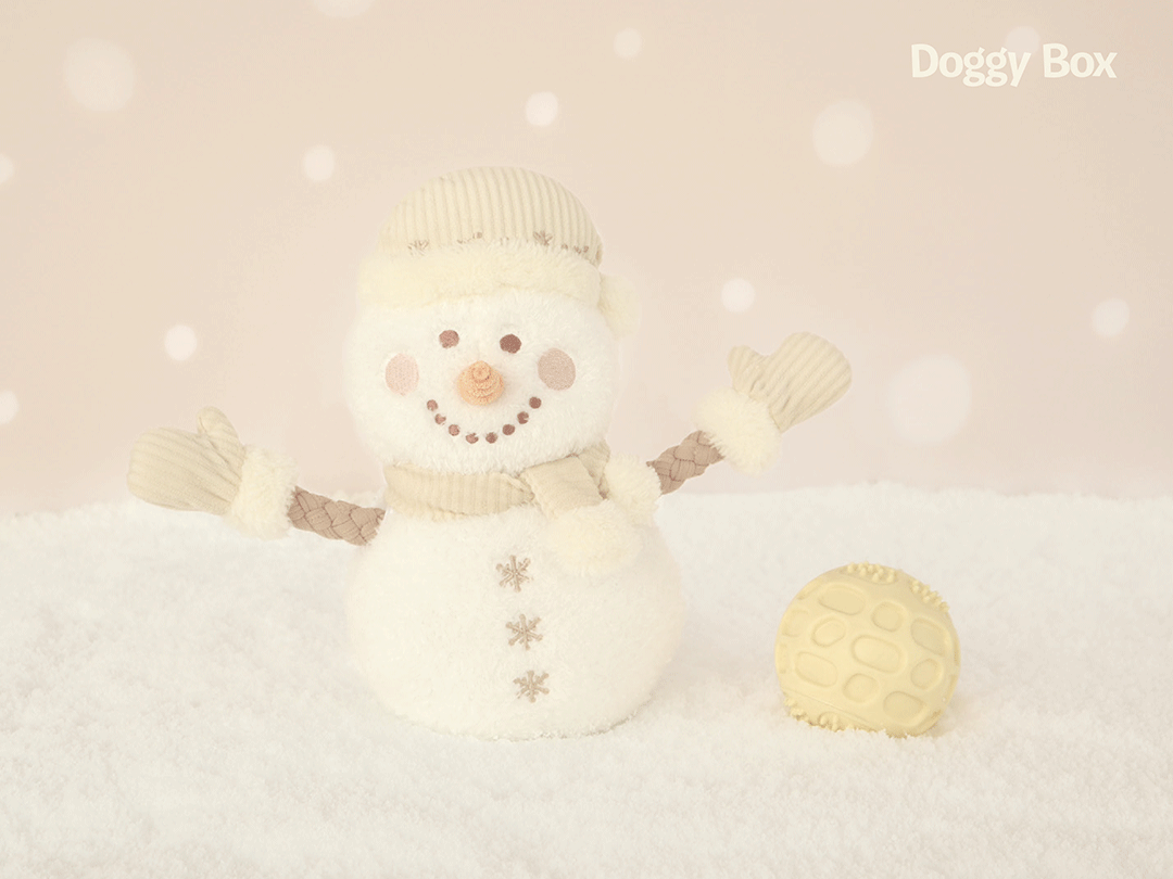 中型犬用Box – Doggy Box