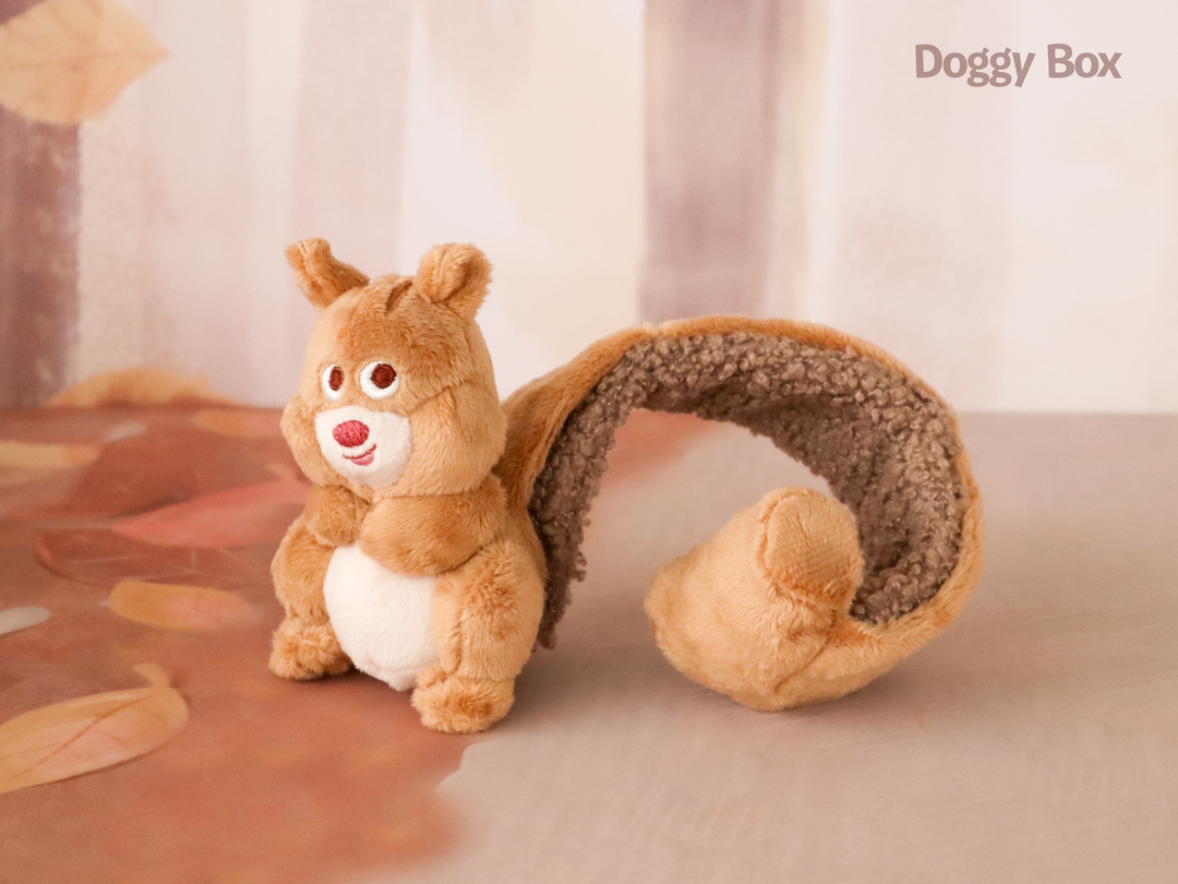 超小型犬用 Box – Doggy Box