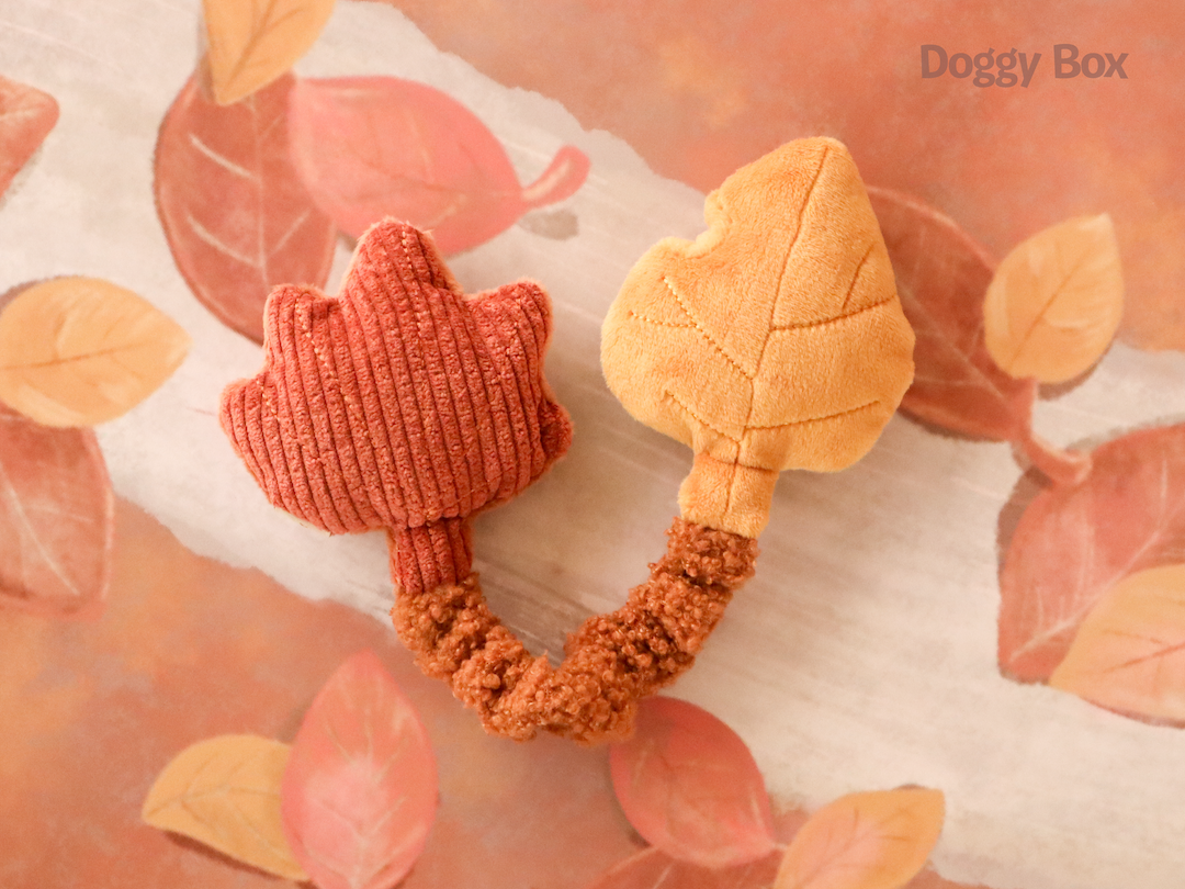 超小型犬用Box – Doggy Box