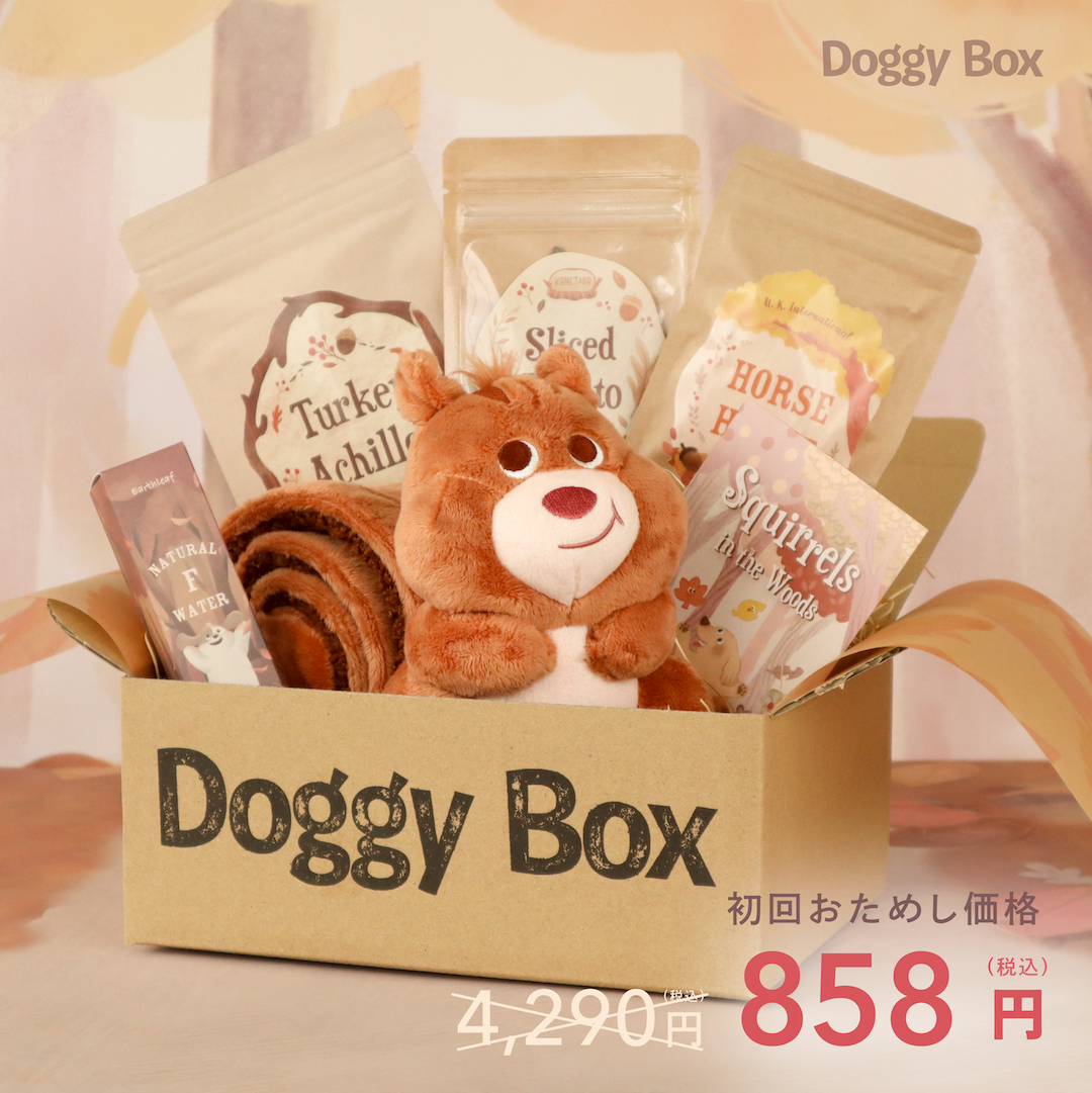 犬のぬいぐるみ・低品質な汚れた風にした紙の宝箱セット 商品 – Doggy Box