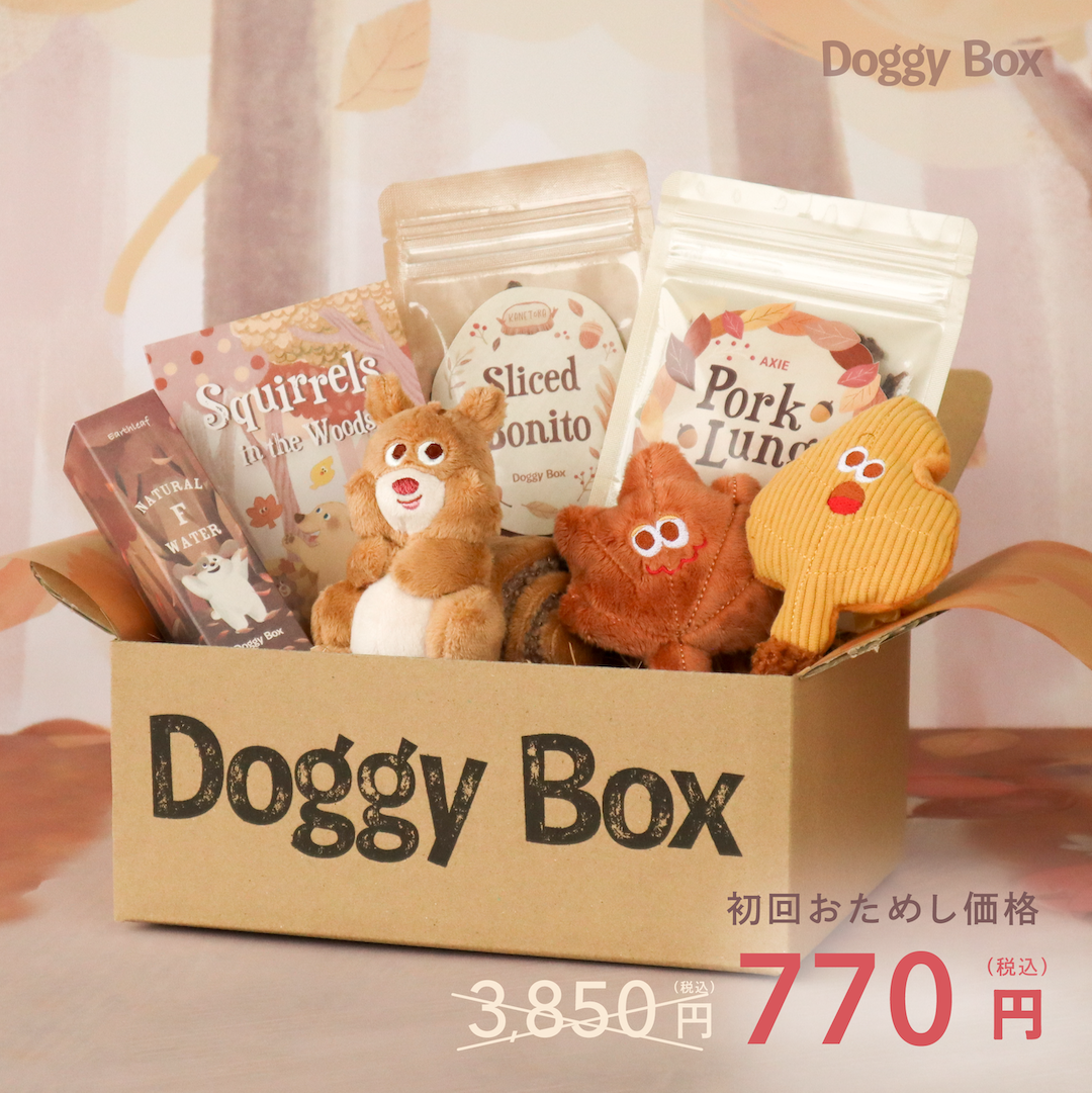 DOGGY BAG●ドギー・バッグ  ●本人 直筆サイン入り 写真集 25_11_EC_e1cf0a30-fbaf-4cd1-