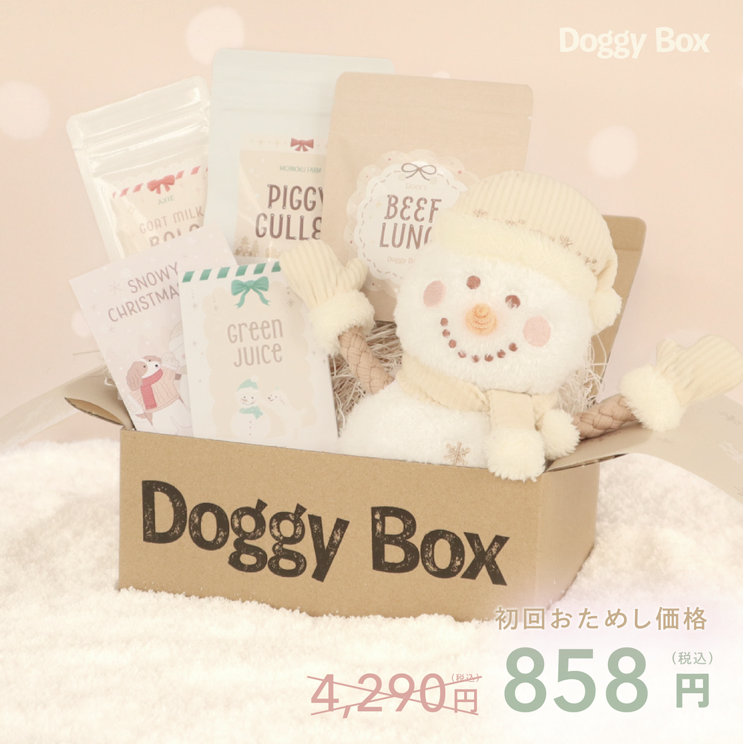 大型犬用Box – Doggy Box