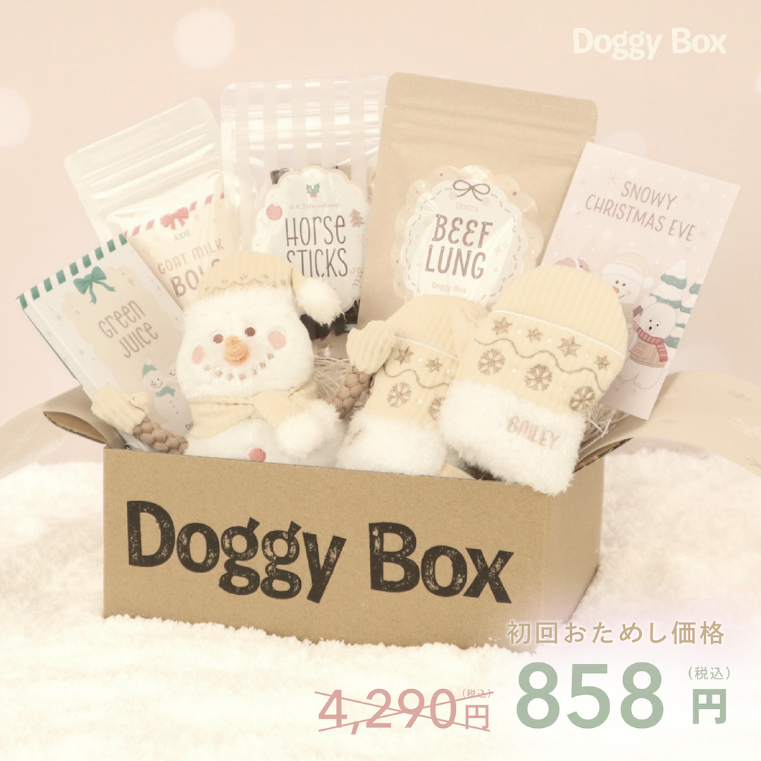 小型犬用Box – Doggy Box