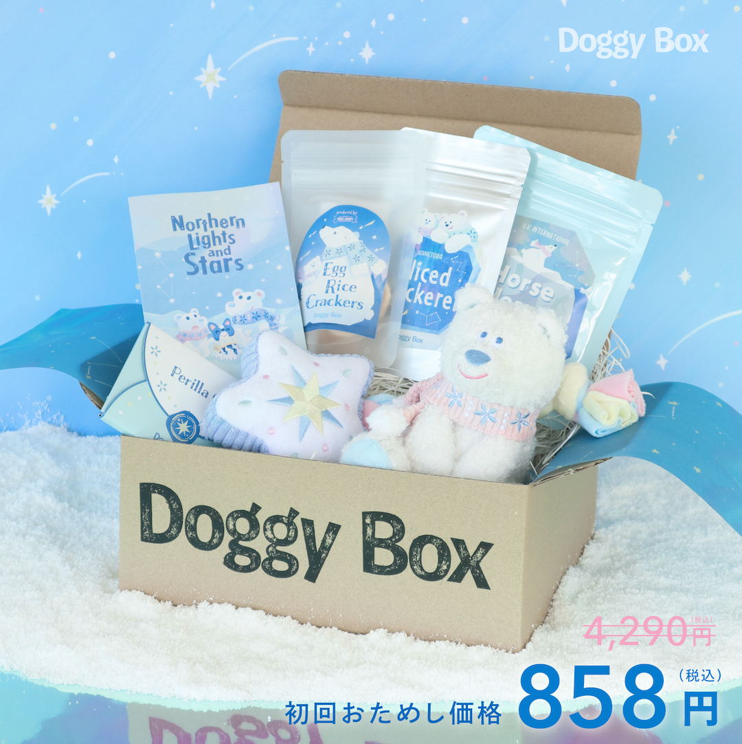 小型犬用Box – Doggy Box