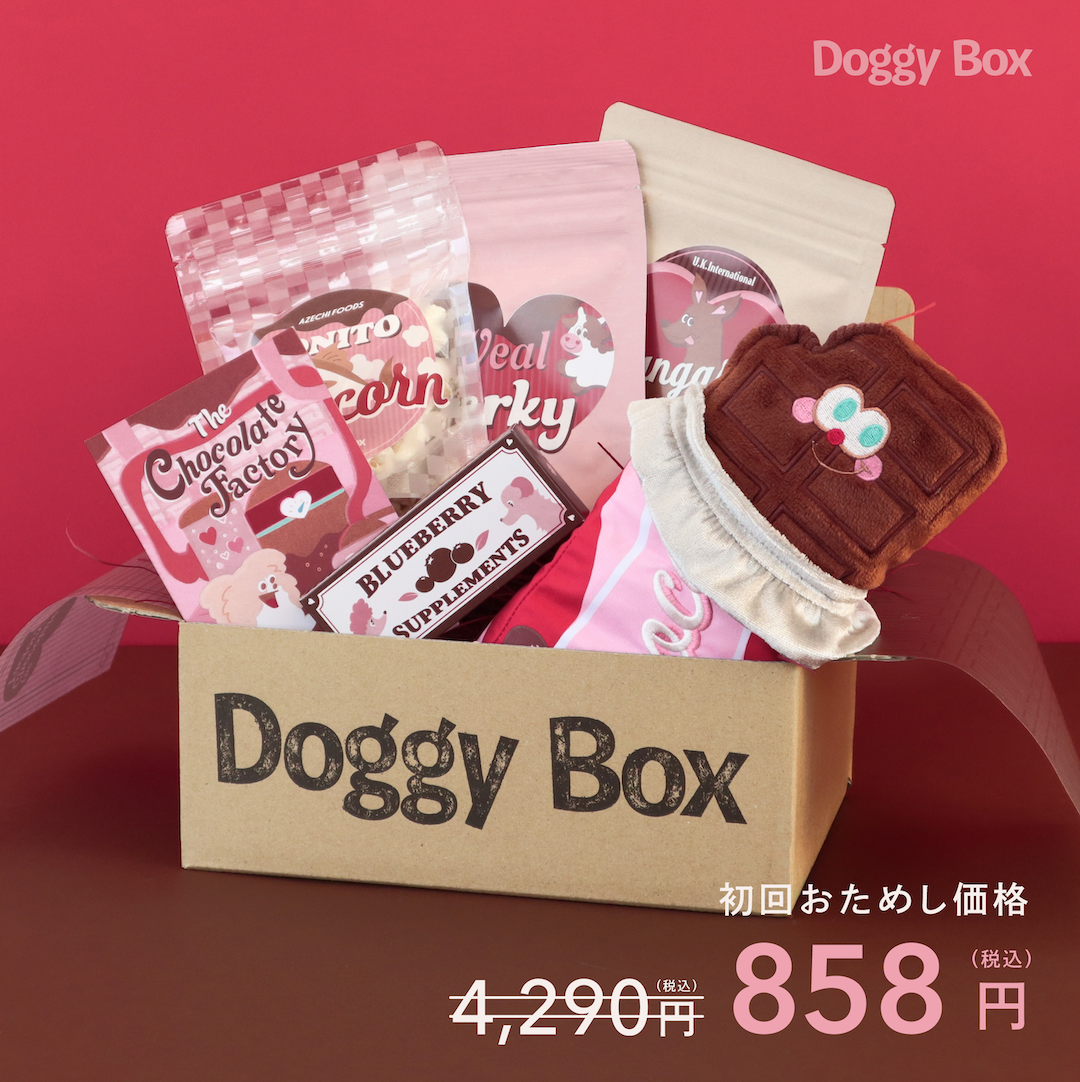 大型犬用Box – Doggy Box