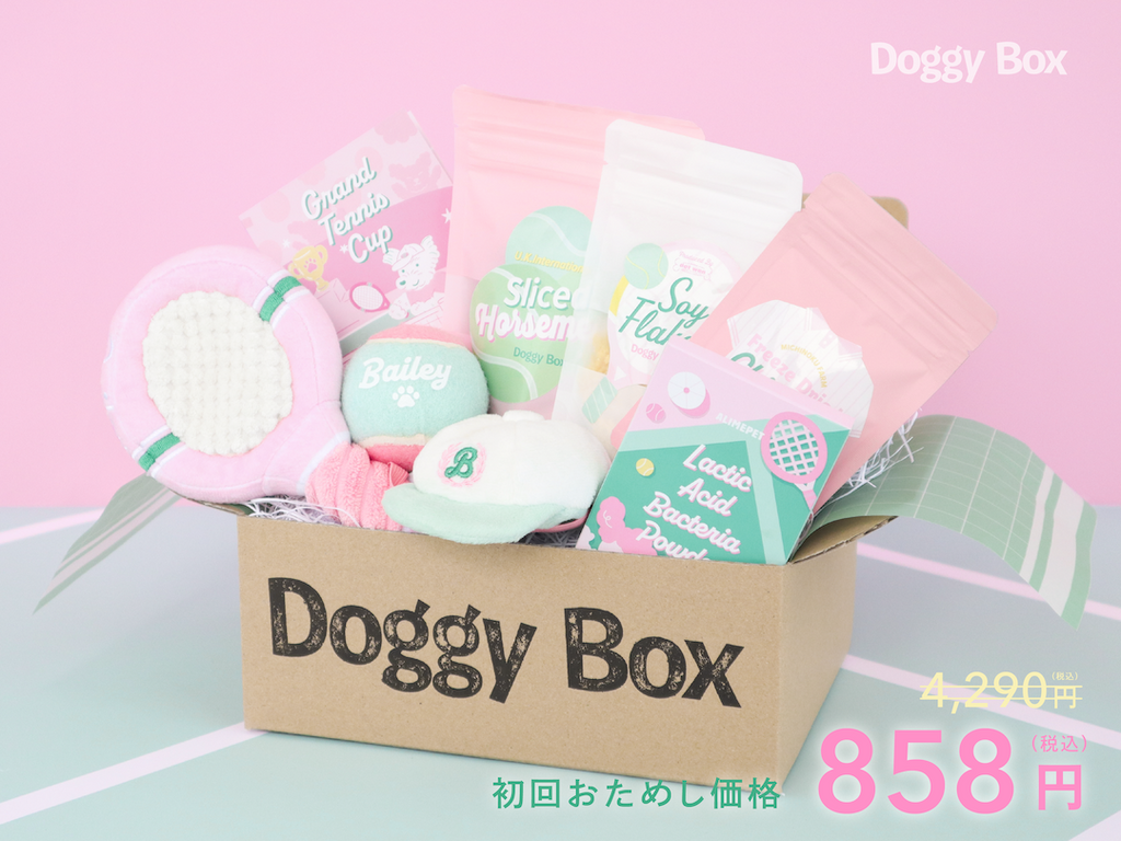 小型犬用Box – Doggy Box