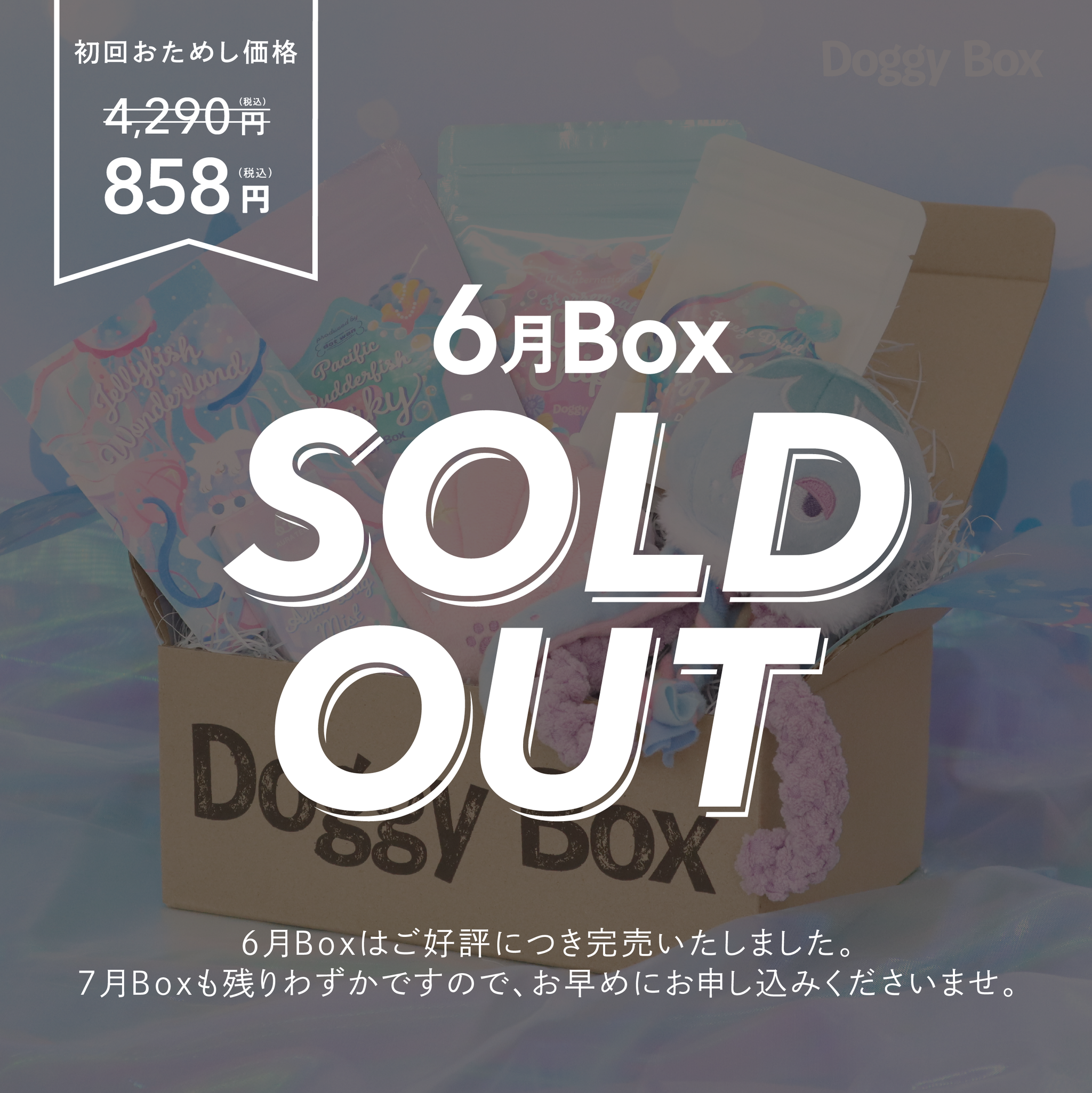商品 – Doggy Box