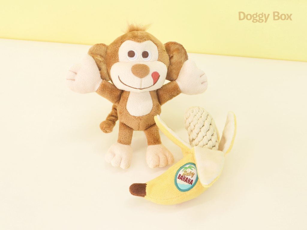 ドギーボックス おもちゃ まとめ売り 5個セット Doggy Box | 毎月サプライズいっぱいのBOXをお届け