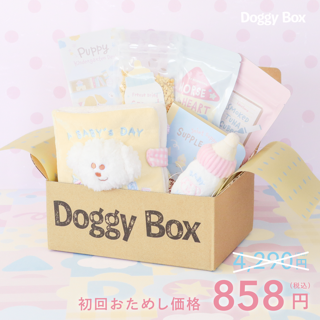 小型犬用Box – Doggy Box 小型犬用Box – Doggy Box