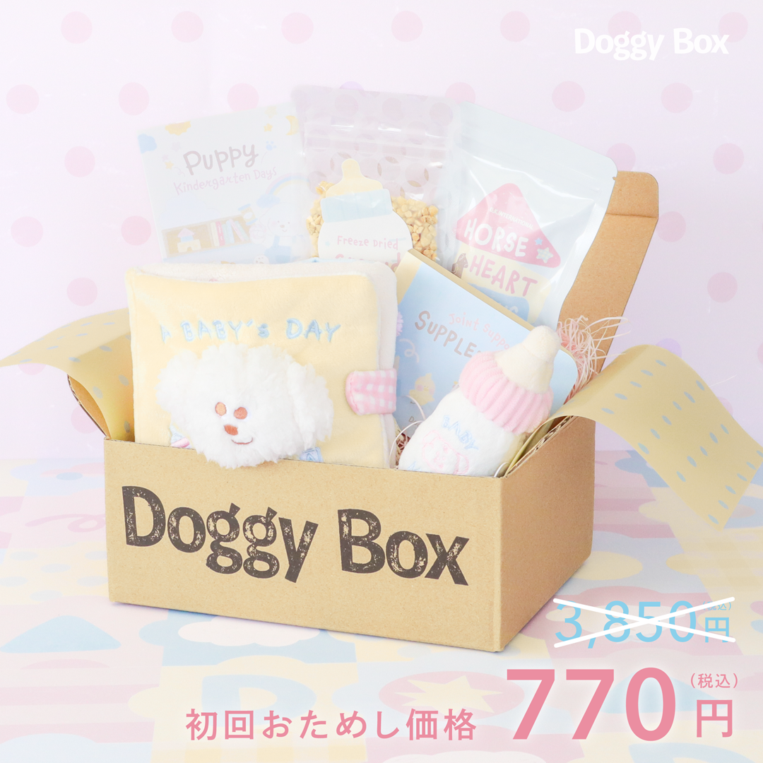 超小型犬用Box – Doggy Box 超小型犬用Box – Doggy Box