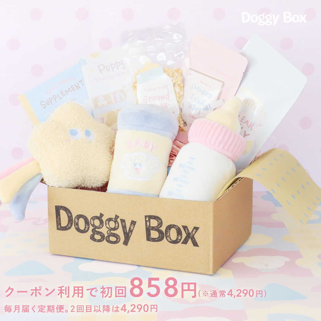 定期便】大型犬用Box (あと払い決済) – Doggy Box