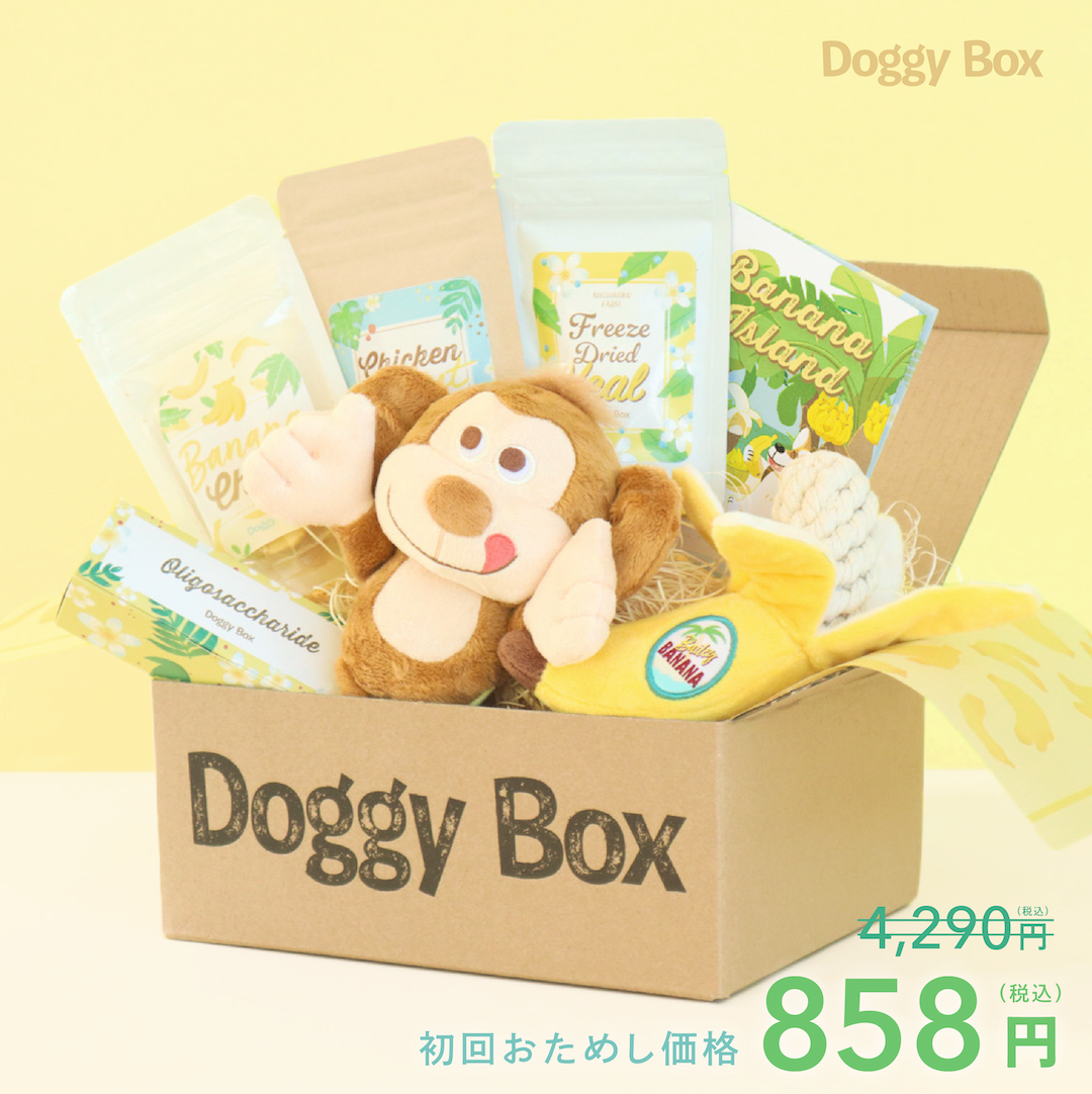 商品 – Doggy Box