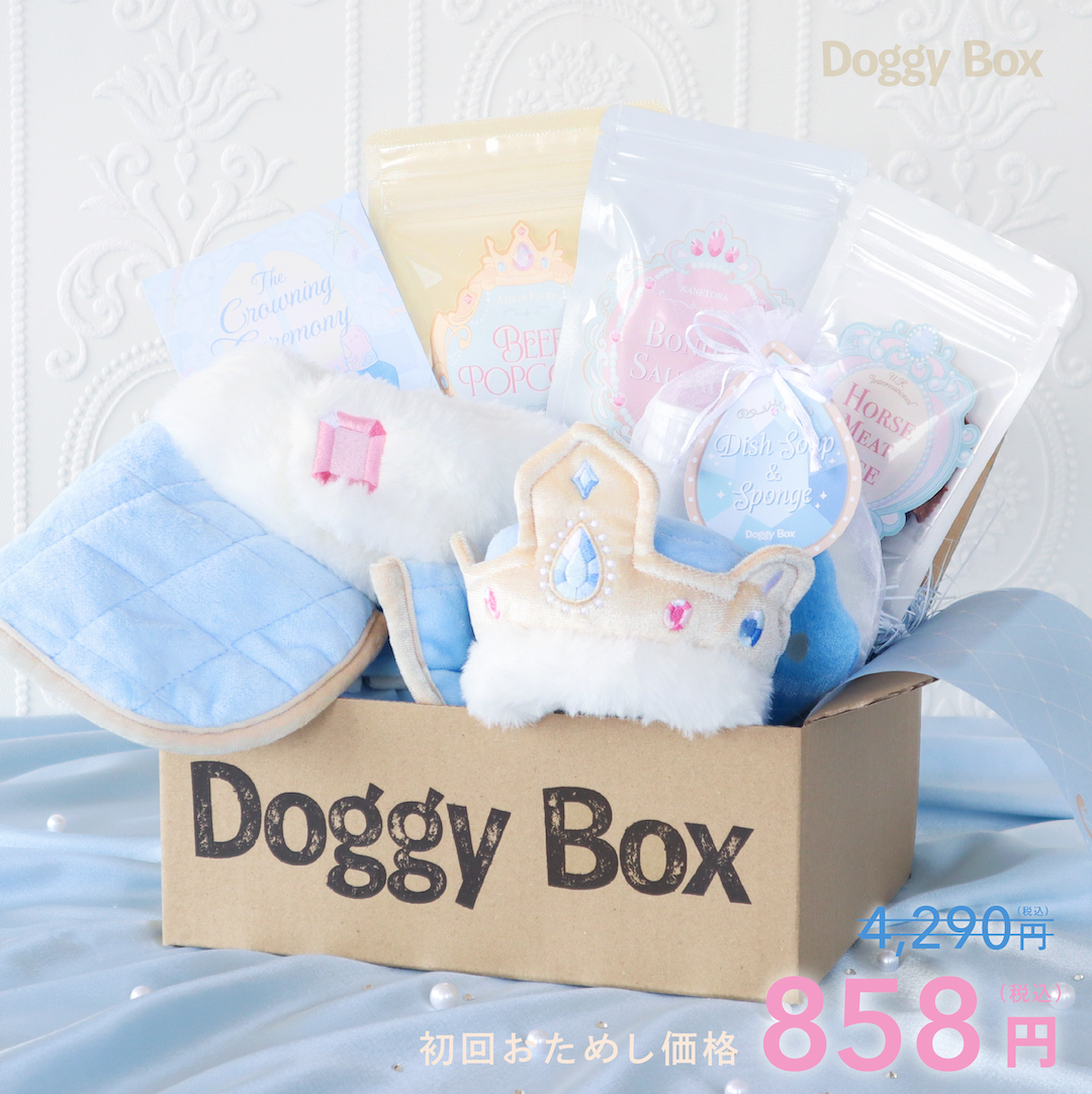 Doggy Box