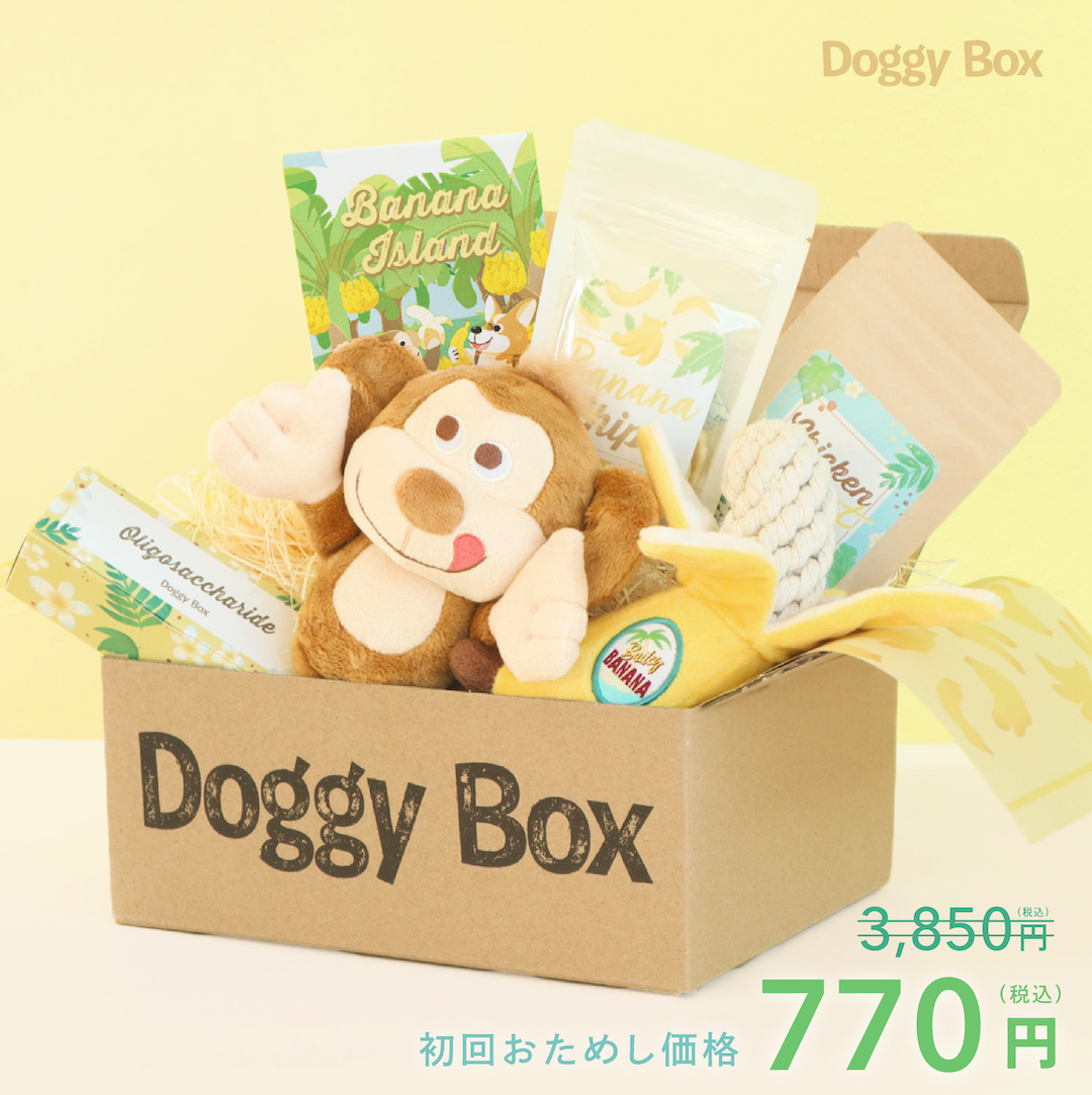 Doggy box 他 おもちゃ 19点セット 718e3851338f56a6a42047f18a7b42