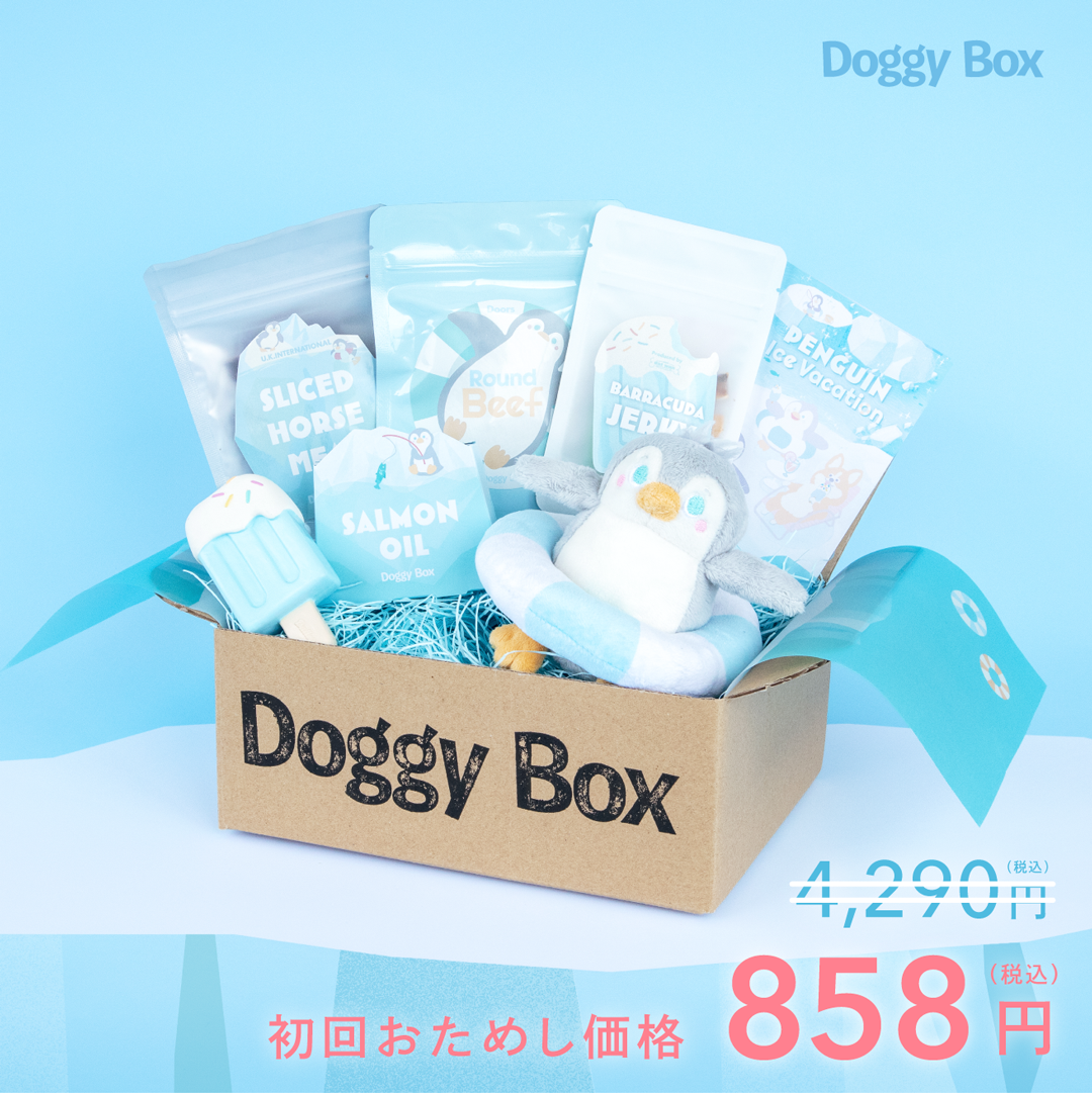 BNPL – Doggy Box