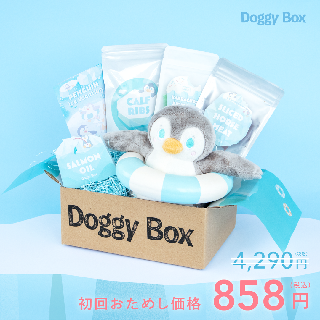 DOGGY BAGドギー・バッグ 写真集・ツアーグッズ・うちわなど DOGGY BAG
