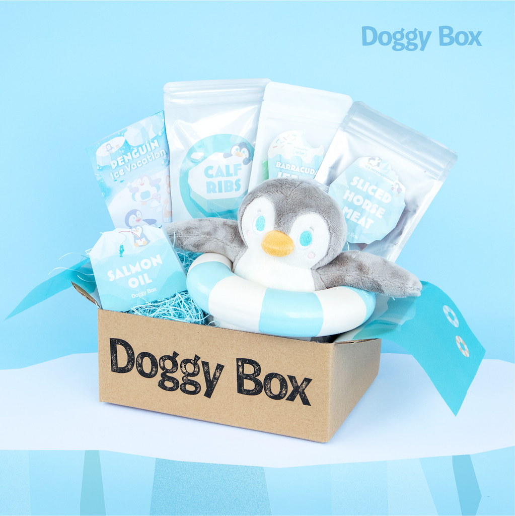 犬用おもちゃ 16点 まとめ売り ぬいぐるみ DoggyBox 商品 – Doggy Box
