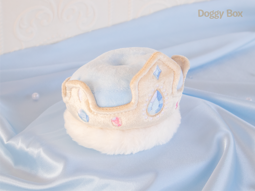 中型犬用Box – Doggy Box