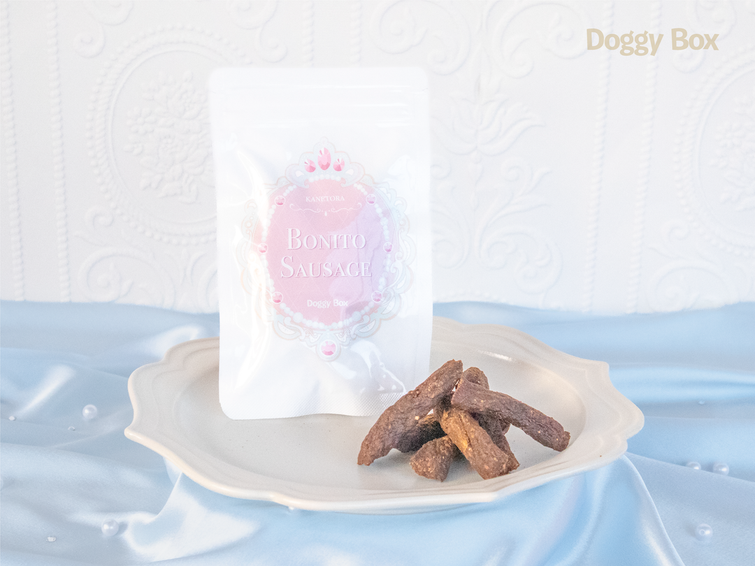 犬と月　ボディボード 2枚セット　大阪手渡し可能！ ボディボードの紹介ページ - ドルフィンズボディボード ファクトリー