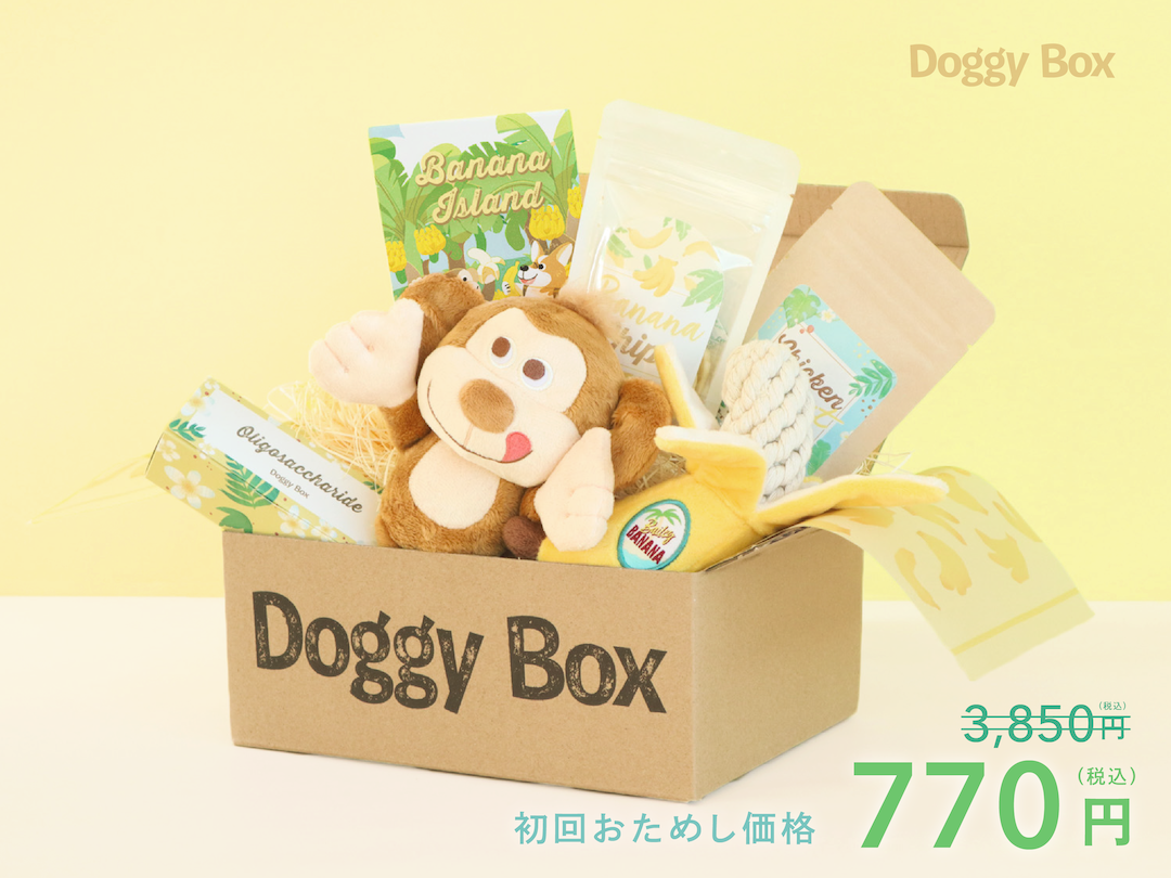 超小型犬用Box – Doggy Box