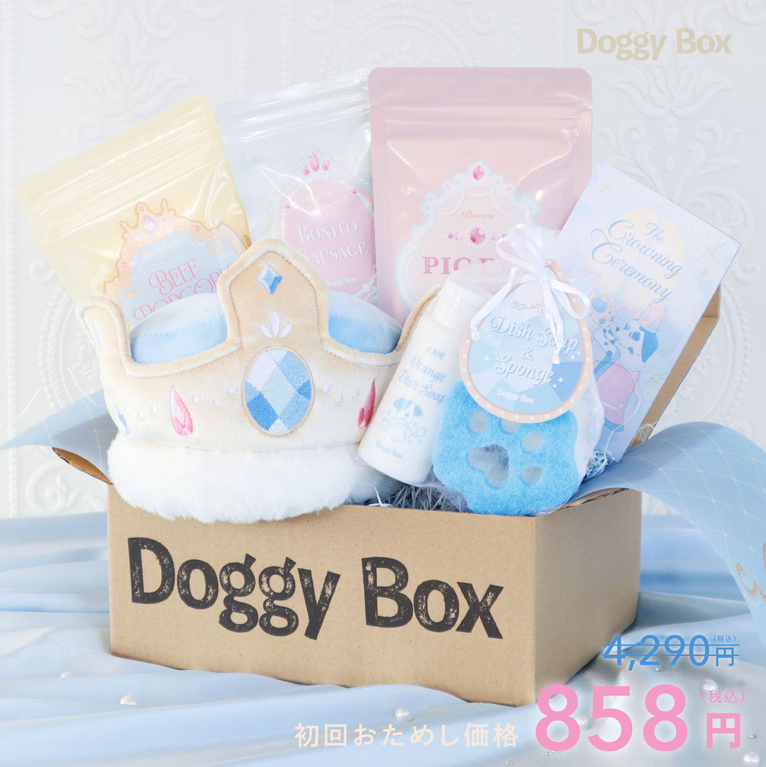 犬と月　ボディボード 2枚セット　大阪手渡し可能！ ボディボード 2枚セット！ 大阪手渡し可能 送料無料です