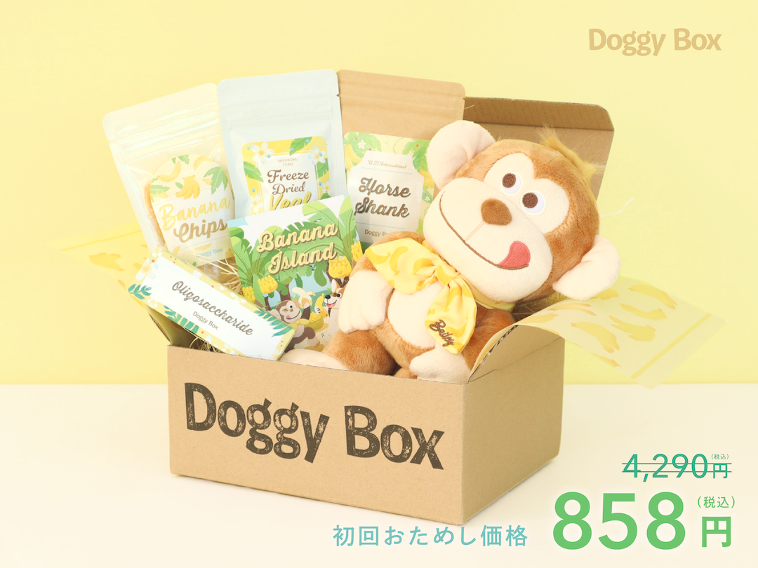 専用ページ　犬のおやつ　20袋のセット 20種類以上から選べる 中袋 犬 おやつ 無添加 国産 おやつセット