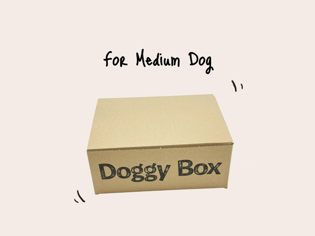 [移行専用]中型犬用Box – Doggy Box
